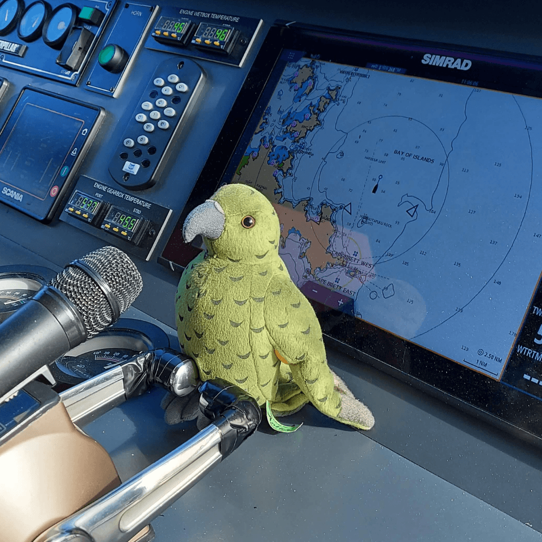 Aranui, a soft-toy kea, perched beside a boat's chart plotter